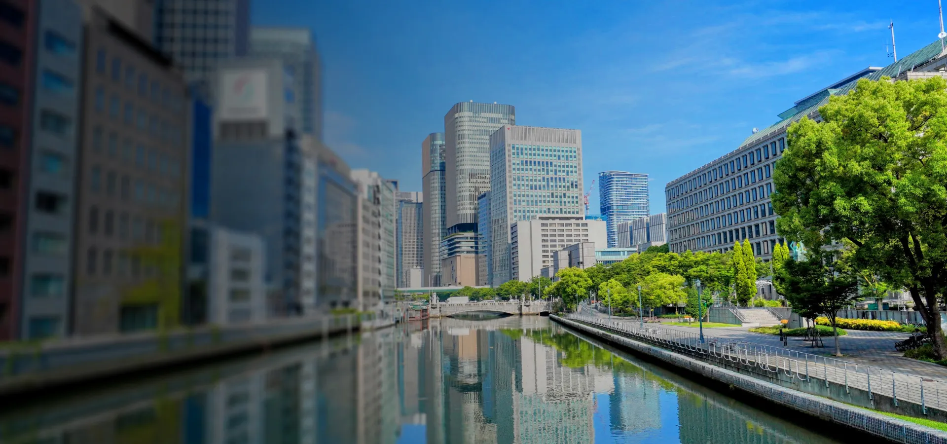 メインビュー画像